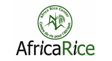 Africa Rice Center
