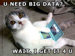 big-data-kitty
