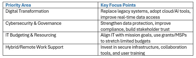 Summary Table: Top Nonprofit IT Leader Priorities for 2025 Summary Table: Top Nonprofit IT Leader Priorities for 2025