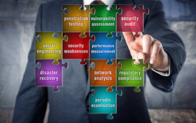 Budget-Friendly Security Essentials: A Bird’s-Eye View