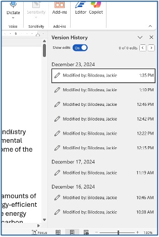 Version history pane