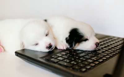 It’s the Little Things That Matter