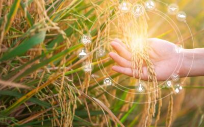 Digital Agriculture: Déjà Vu or the Real Deal?