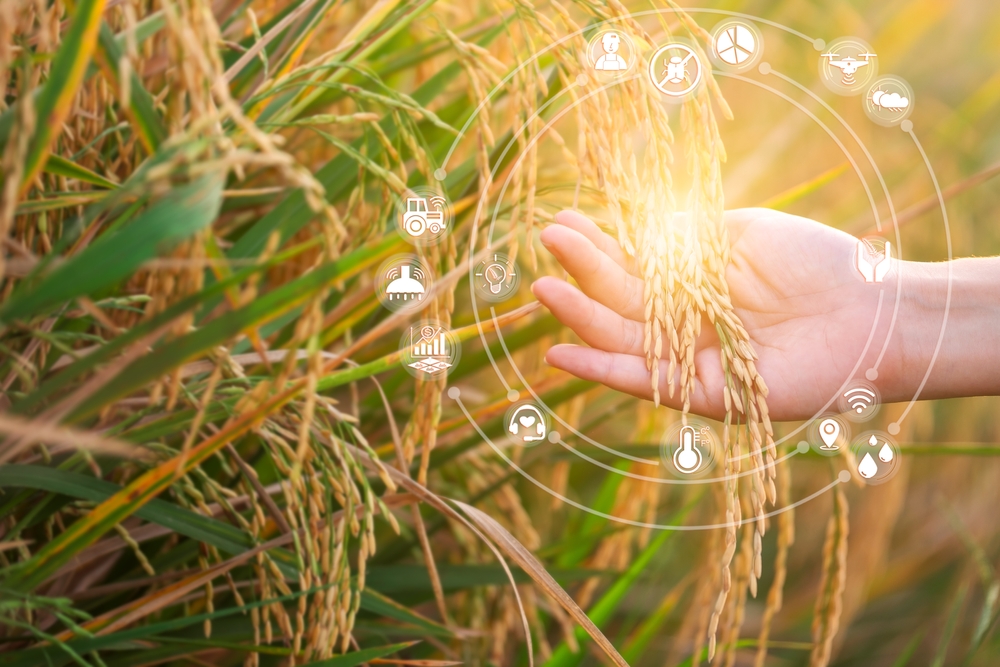 digital agriculture